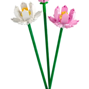 LEGO Iconic Lotosa ziedi 40647 - Image 4