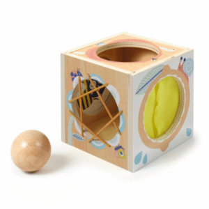 DJECO Attīstošā rotaļlieta - Paslēpju kastīte, DJ06149