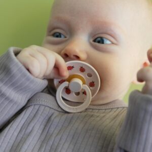 BIBS STUDIO Urban Garden lateksa māneklis - 2gb. Bumblebee Breeze Mix - Image 3