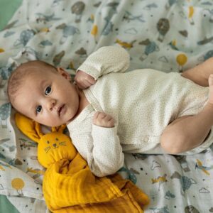 PETITE&MARS Bambusa muslīna autiņi MOUSSY 3gb, 68x68cm, Forest Fox - Image 3