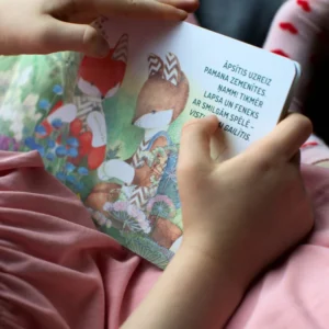 TUTAS LIETAS Grāmata - Lapsa Pļavā - Image 2